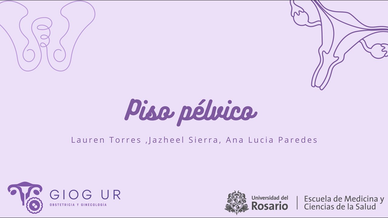 Anatomía piso pélvico