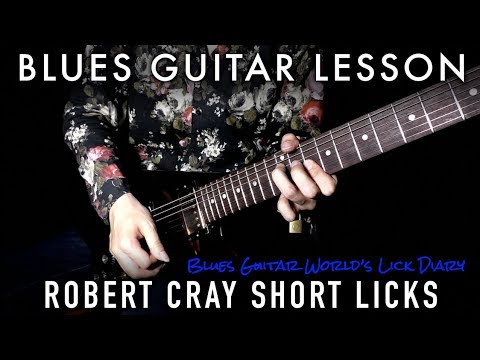 [TAB & SLOW] Robert Cray Blues Licks in Dm - Blues Guitar Lesson | #234