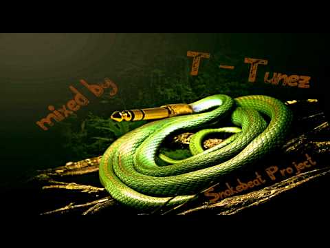 Snakebeat Project Hands Up Mix # 13 mixed by T-Tunez
