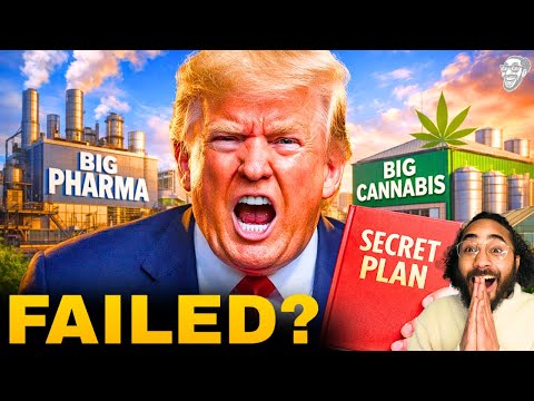 TRUMP FAILED to Re-Classify WEED Yesterday?! What Happens NEXT Will Shock You! 😳😱