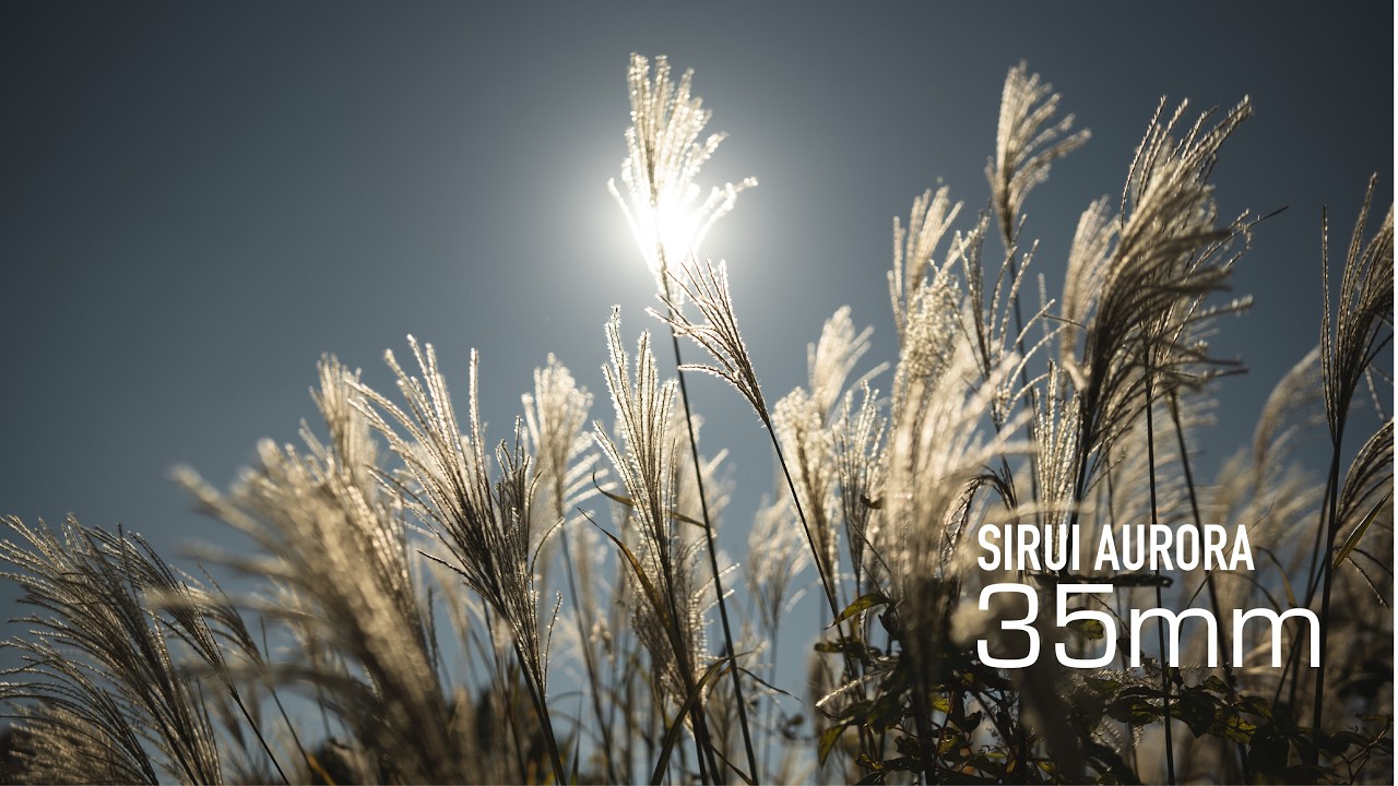 I didn't expect, Is This the Best Value 35mm f/1.4 of 2025?