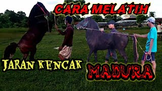 Download lagu Begini cara melatih  Tari Jaran Kencak (Kuda Menari ) !!! Madura tradisional Sapudi island mp3