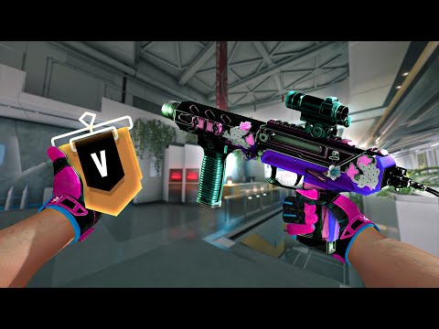 Bronze Players Are TOXIC In Rainbow Six Siege