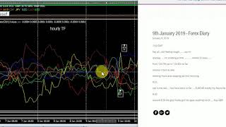 Video Update 12th Jan 2019
