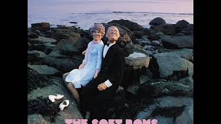 The Soft Boys - Positive Vibrations (1980)