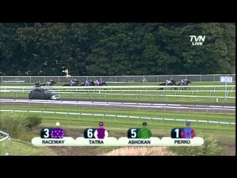 2012 Sires Produce- Pierro