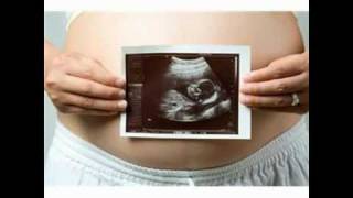 The Flipside of Feminism: Interview with Suzanne Venker Pt 1