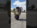 Bike BLOWS UP mid wheelie!💥 #harleydavidson #wheelie #shorts