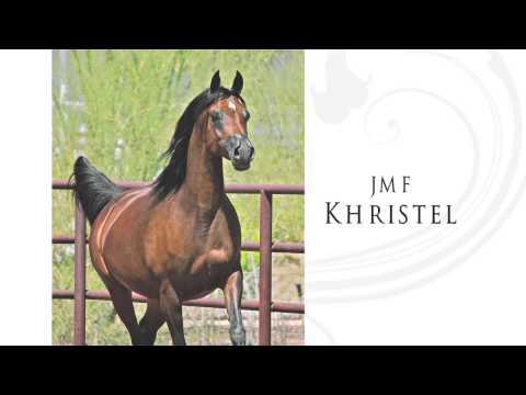 Invision (PCF Vision* x JMF Khristel)