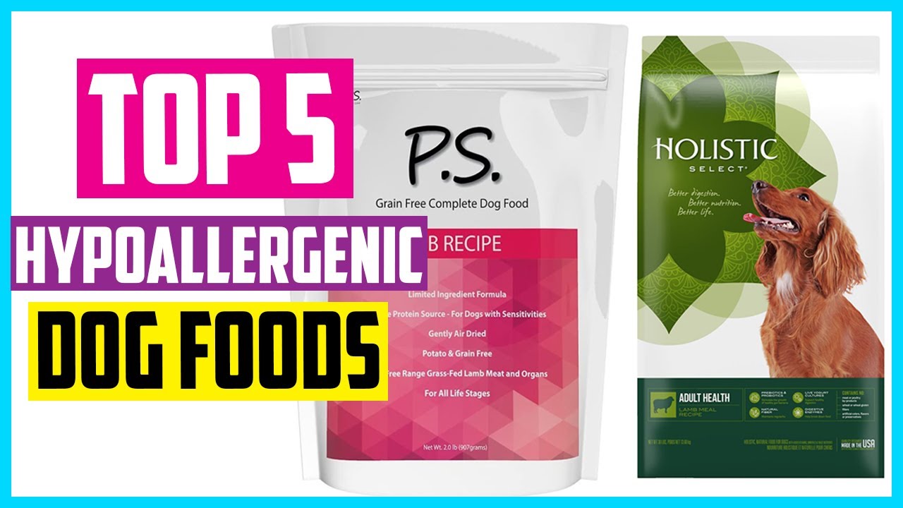 Watch ✅Top 5 Best Hypoallergenic Dog Foods In 2022 Buyer’s Guides Now ✅Top 5 Best Hypoallergenic Dog Foods In 2022 Buyer’s Guides