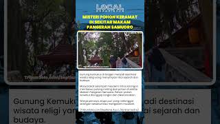 Misteri Pohon Keramat di Gunung Kemukus yang Bisa Mengundang Musibah