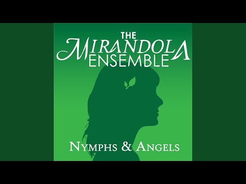 Se Mai Provasti Donna Qual Sia Amore