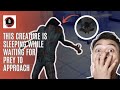 He Sleeps Until You Get Too Close Then He Catches You Endlessnightmare Horrorgame