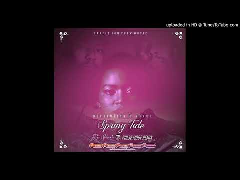 Revolution ft Msaki - Spring Tide(DjSindz 2019 Pulse Mode)