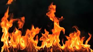 HOLY FIRE (New Wine)