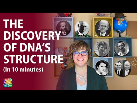 Visible Biology | Lesson 4: The Discovery of DNA’s Structure