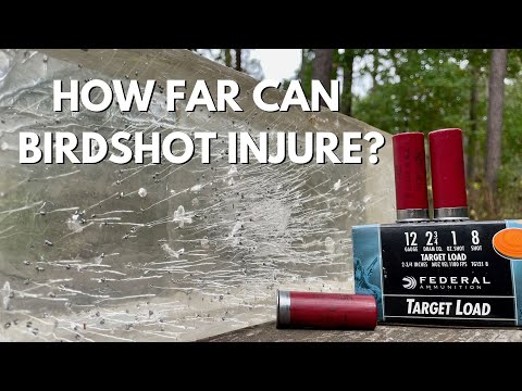 How far is birdshot dangerous?
