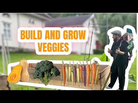 BYGGA ODLINGSLÅDOR ENKELT | VLOGG E39 #gård #livetpålandet #vlogg #farmlife #odla