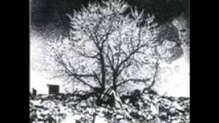 Bevis Frond White Sun (New River Head, Woronzow rec 1991)