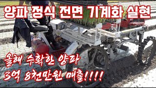 남원에 양파에 진심인 농가가 있습니다 그 농가의 재ᄇ…