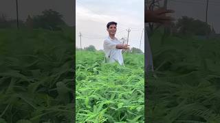 Download lagu 14 October 2025 mp3