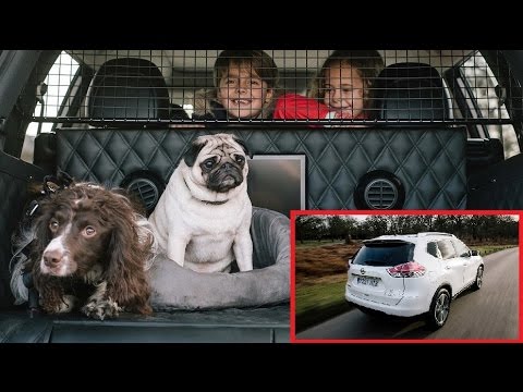Nissan X-TRAIL 4DOGS Family Adventures Concept Car