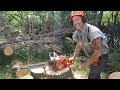 Feeling grateful. Buckin' Billy Ray runs some Tinman Saws. - Tinman's saws Feeling grateful. Buckin' Billy Ray runs some Tinman Saws.