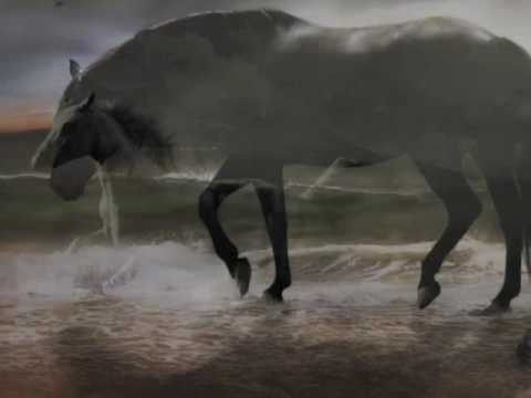 Dark Horse by David Lanz