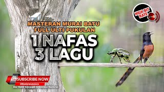Download lagu Masteran Murai Batu Ulti Full Pukulan Satu Nafas 3 Lagu Masteran Burung Temanggung mp3