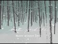 Matt Pond PA — More Winter Lives (Full EP)