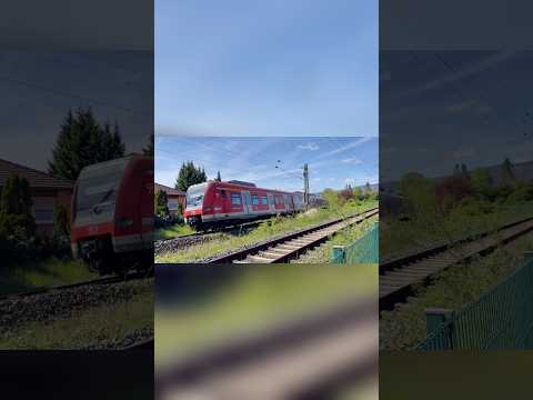 ￼S3 aus Bad Soden fährt nach Frankfurt Süd