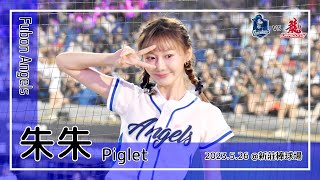 【台湾チア】朱朱 Piglet / Fubon Angels / 2023.5.26 林澤彬,蔣智賢 應援曲 [中文歌詞]