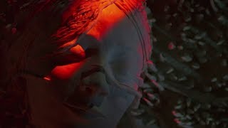 St.Lô - In the Pines