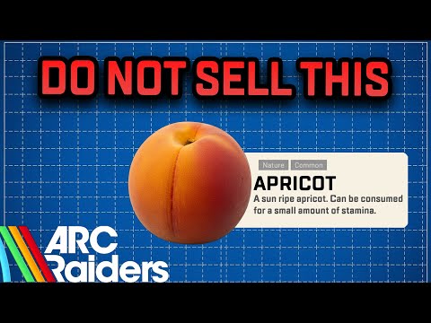 ARC Raiders Most Valuable Items You'll Need To Watch Out For
