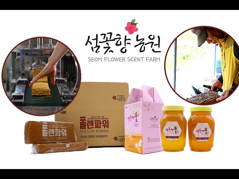 신안 섬꽃향 플랜파워 유채화분꽃 벌들 먹이와 벌꿀