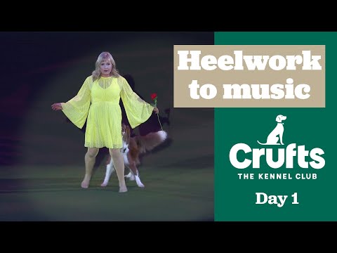 Heelwork to Music Competition Winner