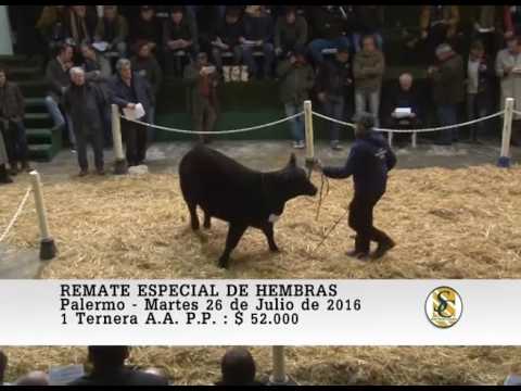 26-07-16 Ventas de Hembras Angus Seleccionadas - Palermo 2016.