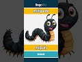 millipede - milpiés video thumbnail