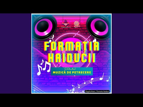 Colaj / Muzică de Petrecere (Formatia Haiducii / Partea 1)