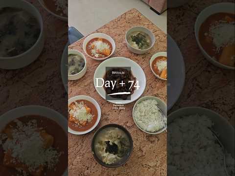 2025 Spain : Day + 74