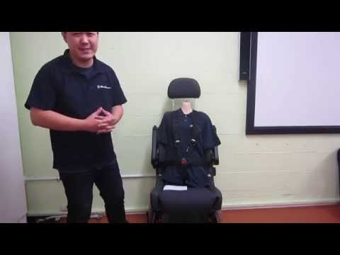 Carfix 5 Point Harness