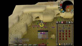 Basic leech collector commentary