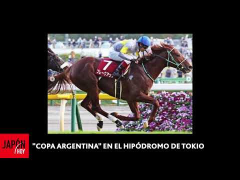 COPA ARGENTINA EN EL HIPODROMO DE TOKIO - JH 16.11.22  /  JAPON HOY TV