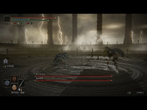 Elden Ring Boss VS Boss “Death”Rite Bird vs Black Axe Kindred 2