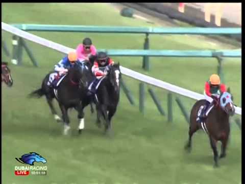 2013.06.02 Yasuda Kinen - Lord Kanaloa