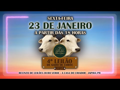 4° Leilão de Gado de Corte - 2026 | Talismã Leilões | Sexta-Feira - 23/01 - 18h | Japira - PR