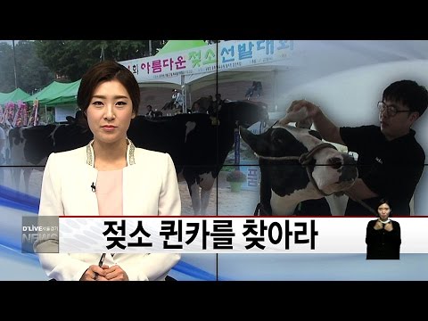 아이콘