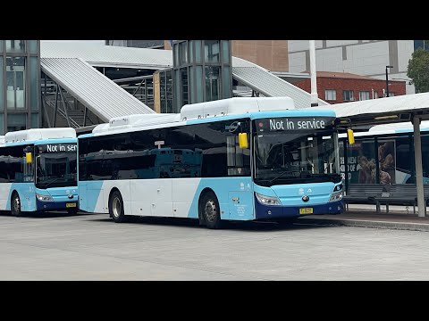 Interline Bus Services: m/o 8201 - Yutong E12 ZK6131HGE