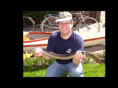 Diejne van aa es te klein