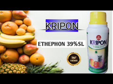 Liquid 500ml Kripon Plant Growth Regulator, Bottle